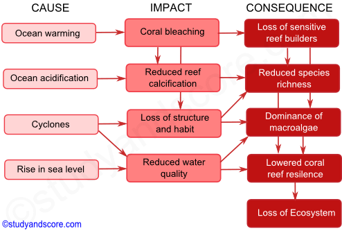 conservation of coral reefs, ocean warming, coral bleaching, cyclone, cause, impact, consequence